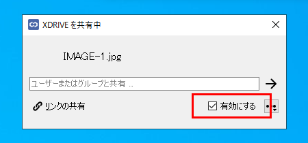 URL󥯶ͭ (Windows)